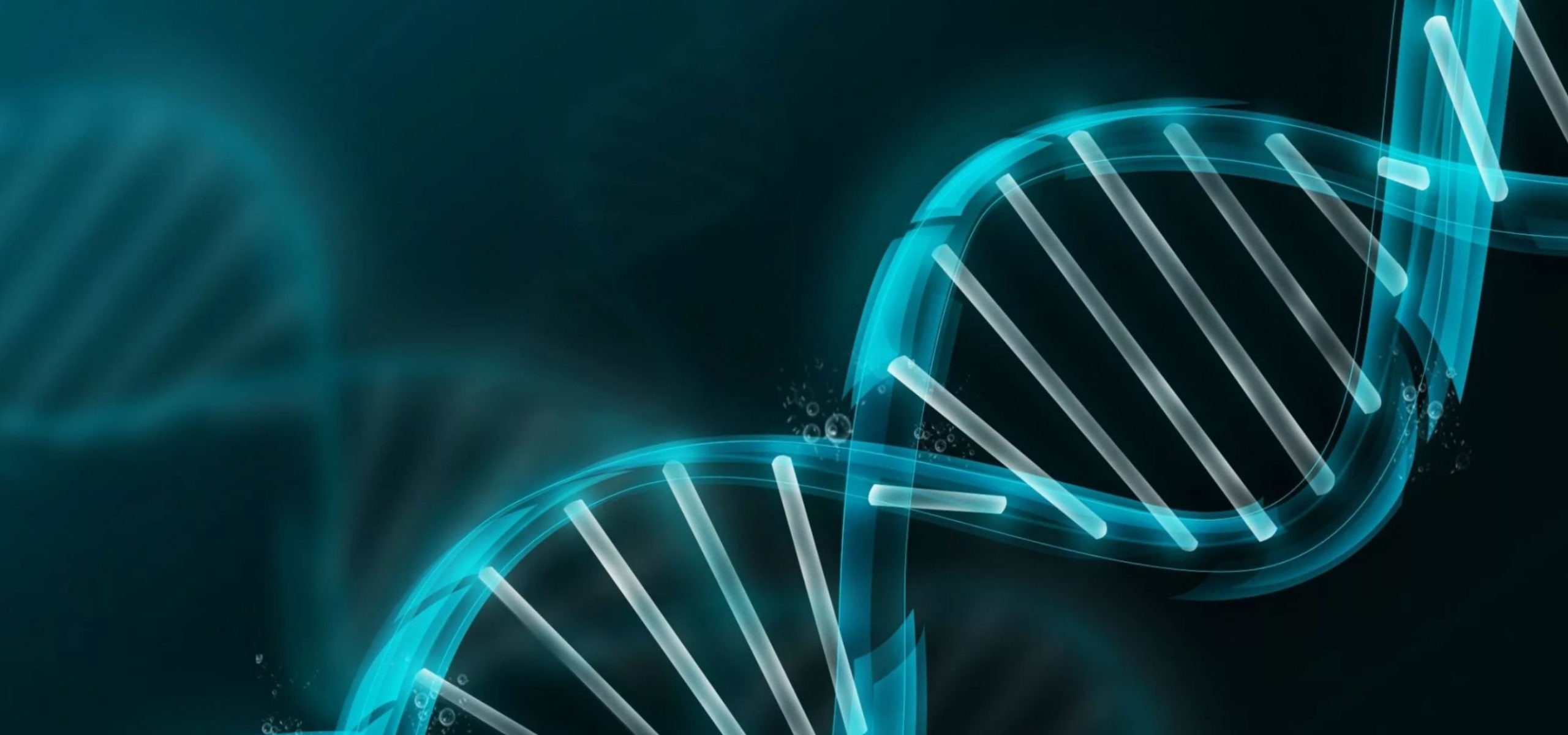 Гистероскопия и гистерорезектоскопия в СПб